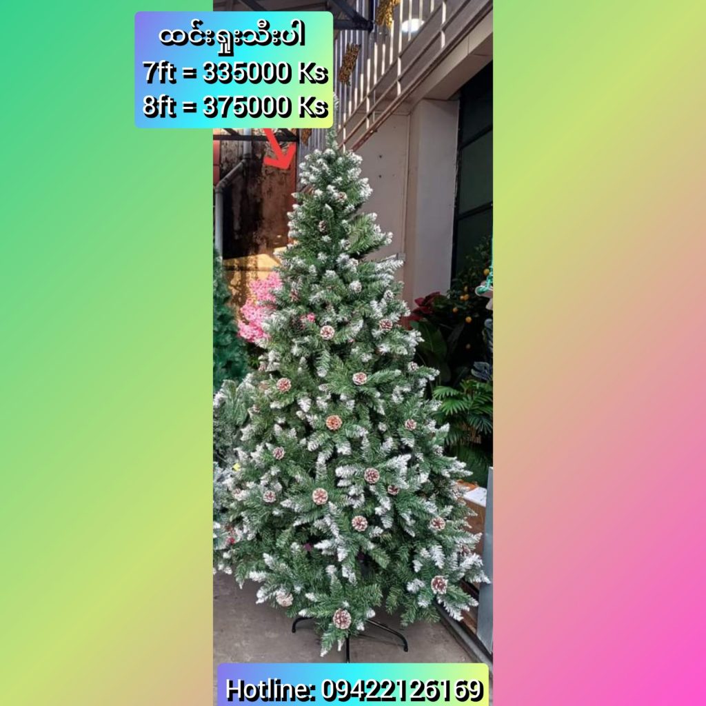 Buy Christmas Tree & Santa Claus