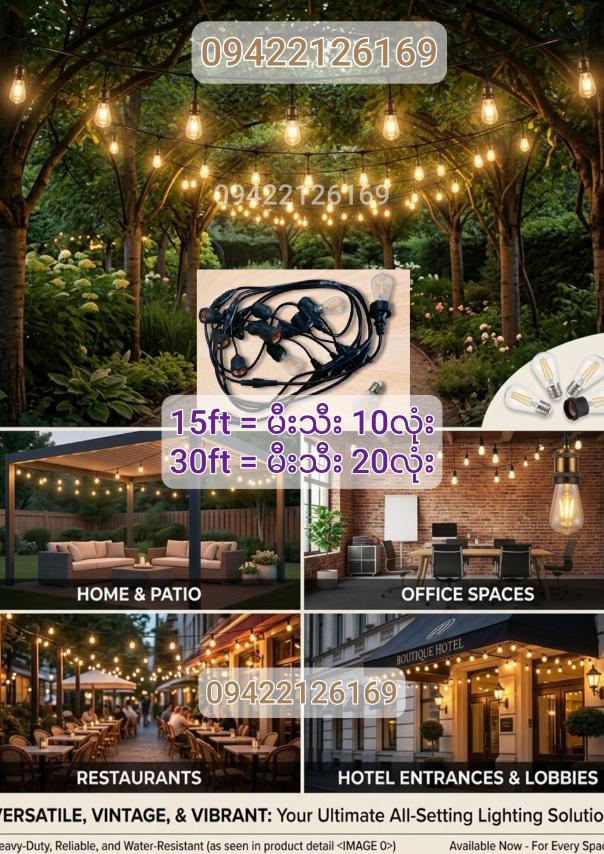 ရေစိုခံ Edison မီးသီးအလှဆင်မီးကြိုးများ (Waterproof Edison Decorative Bulb Lights)